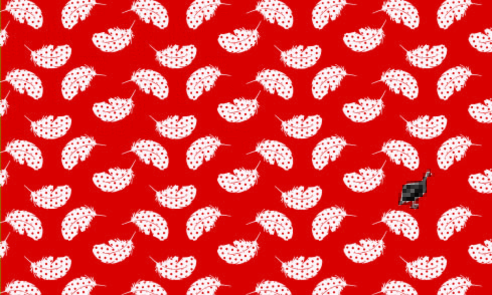 Kenya Kanga Collection