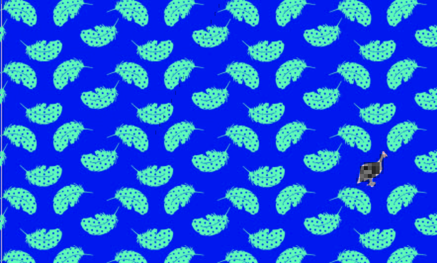 Kenya Kanga Collection