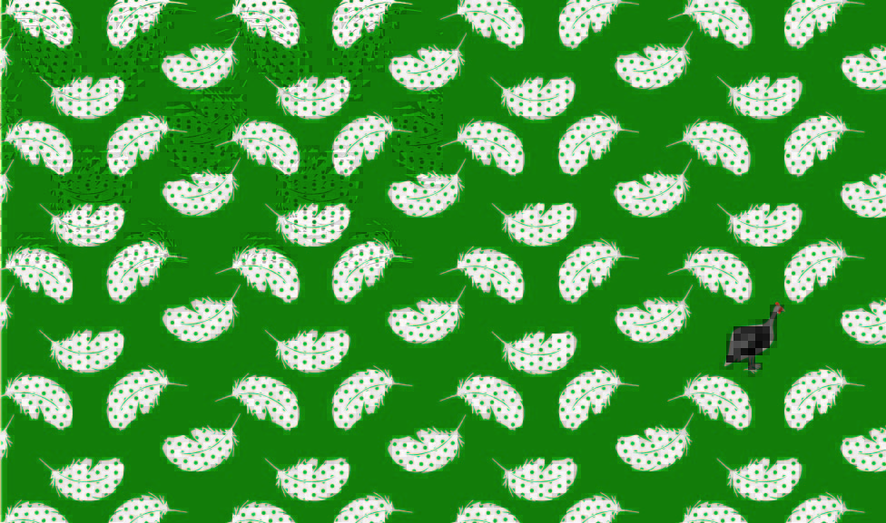 Kenya Kanga Collection