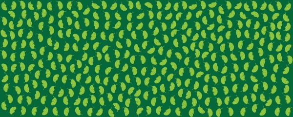 Kenya Kanga Collection