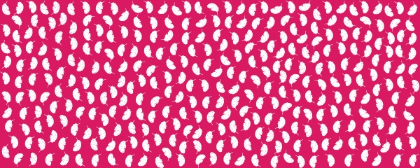 Kenya Kanga Collection