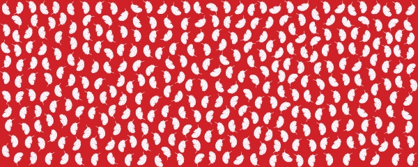 Kenya Kanga Collection