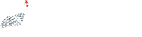 Kenya Kanga Collection