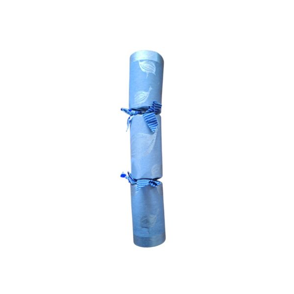 Single Silver Cracker - Design 001