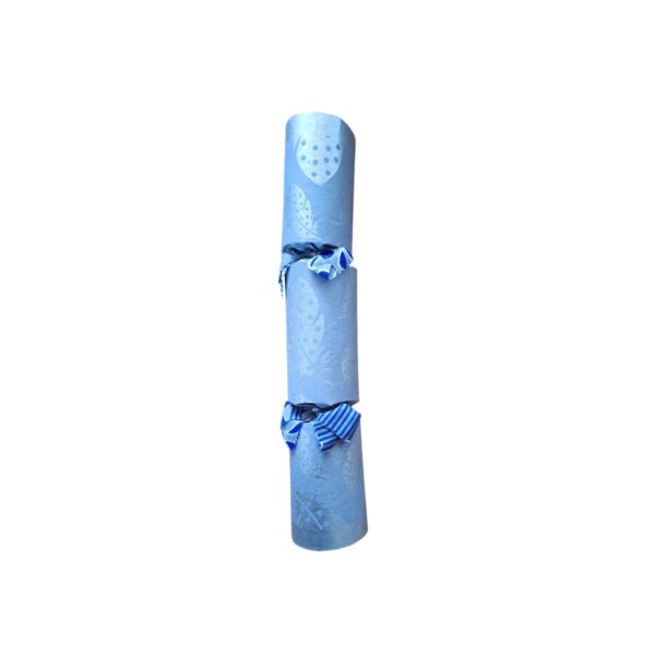 Single Silver Cracker - Design 002