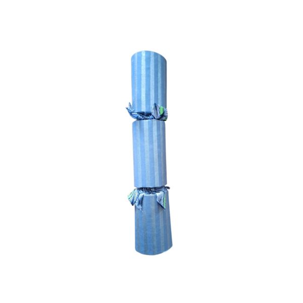 Single Silver Cracker - Design 003