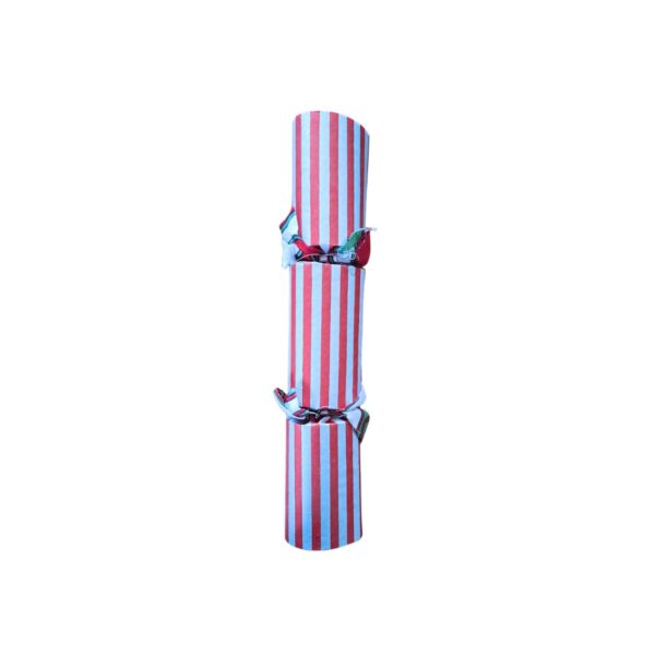 Single Silver Cracker - Design 004