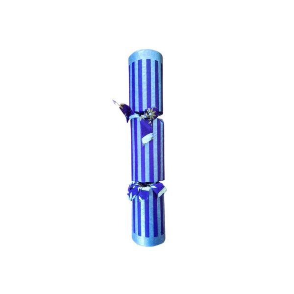 Single Silver Cracker - Design 006