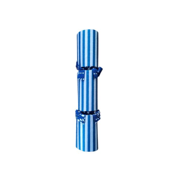 Single Silver Cracker - Design 010