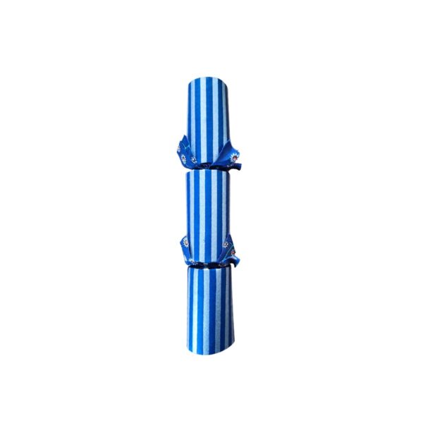 Single Silver Cracker - Design 011