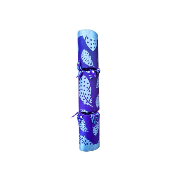 Single Silver Cracker - Design 023